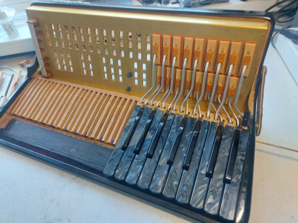 518327407 2534382520230723 9112788478056412058 n